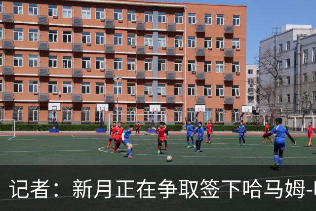 记者：新月正在争取签下哈马姆-哈马米和菲拉斯-布赖坎